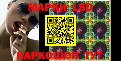 гашик Будённовск
