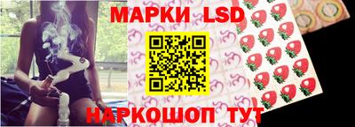гашик Будённовск