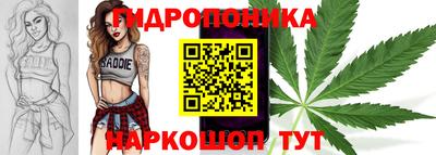 гашик Будённовск