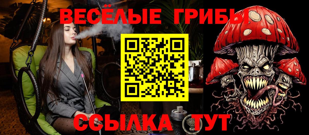 Псилоцибиновые грибы прущие грибы Прокопьевск